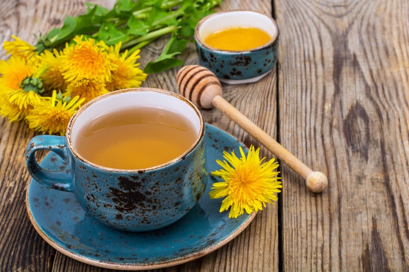 Чай одуванчиковый свойства и противопоказания