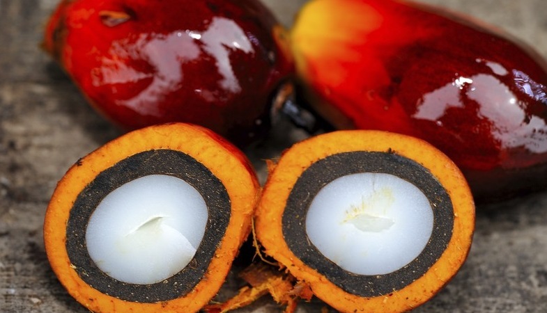 Пальмовое масло из плодов