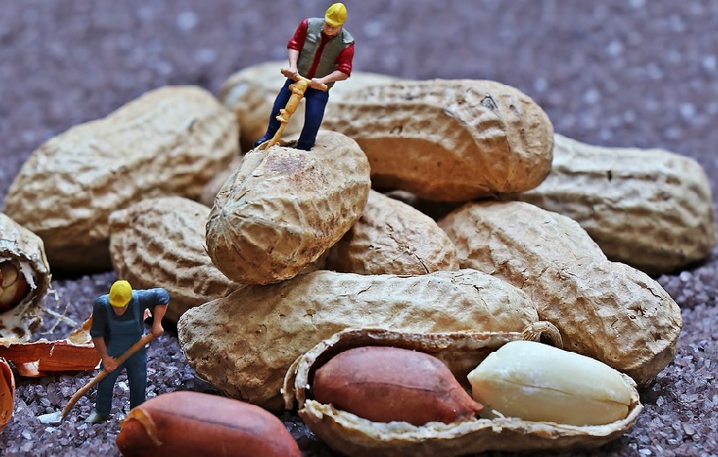Польза и вред арахиса