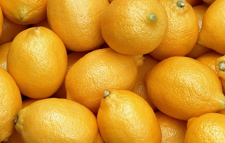 Горячие лимоны польза. Лимон. Гибриды цитрусовых. Лимон Каррубаро. Карантинные объекты на цитрусовых.